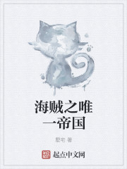 海賊之唯一帝國