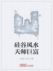 硅谷風水天師巨富