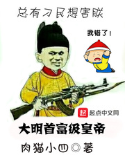 大明不可能這么富