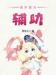 保護(hù)我方輔助