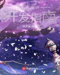 次元世界開發(fā)指南