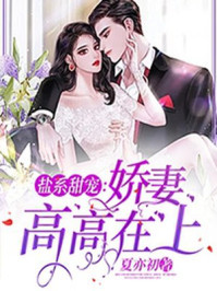 鹽系甜寵：嬌妻高高在上