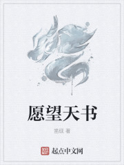 愿望天書