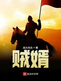 賊婿