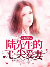 寵婚撩人，陸先生的心尖愛妻喬莫笙陸慕沉