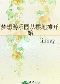 夢想游樂園從擺地?cái)傞_始