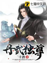 丹武獨(dú)尊