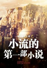 小流的第一部小說