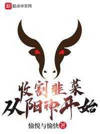 收割韭菜從陽神開始