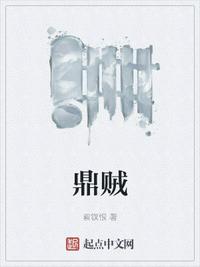 鼎賊