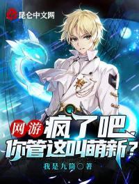網游：瘋了吧，你管這叫萌新？