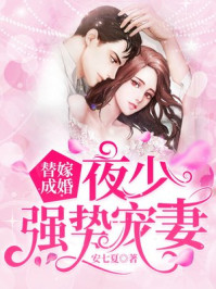 替嫁成婚：夜少?gòu)?qiáng)勢(shì)寵妻