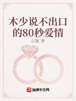 與木先生的戀愛拉鋸戰