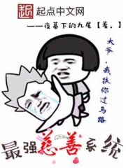 最強慈善系統
